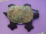 Weighted Turtle from Heads Up Now